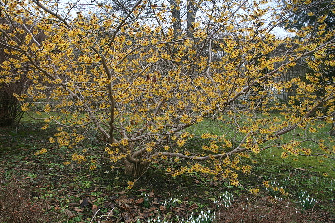 München > Botanischer Garten 7