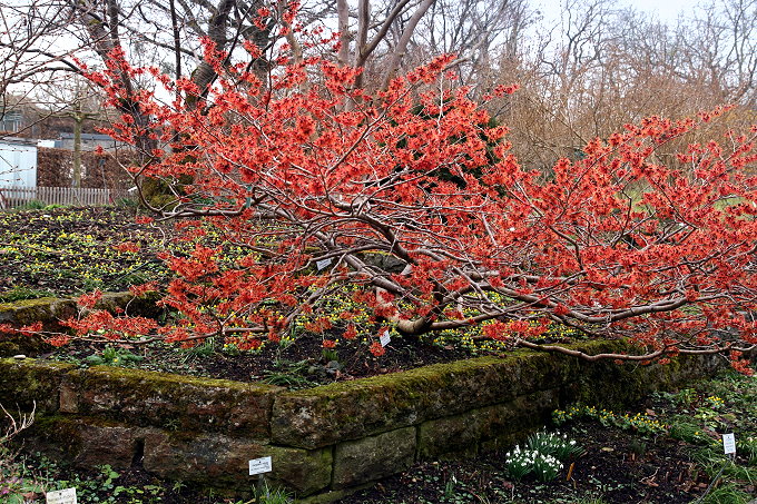 MÜNCHEN > Botanischer Garten 2