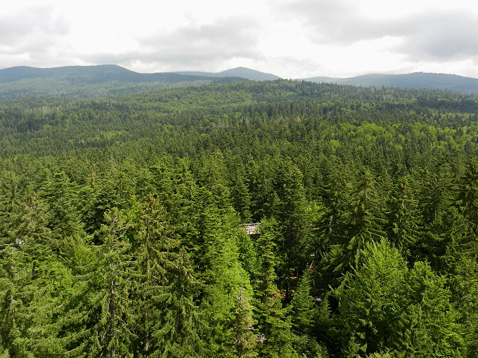 Nationalparkzentrum Lusen