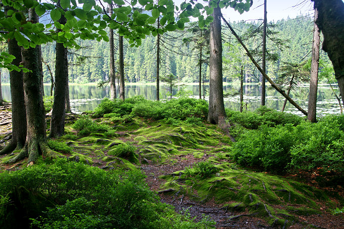 Großer Arbersee 6