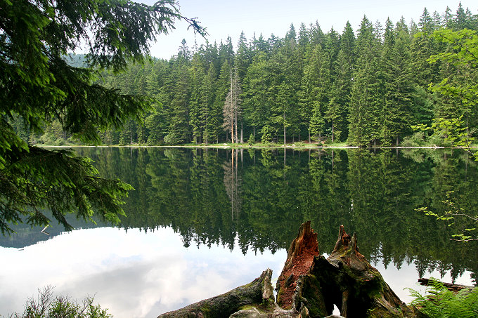 Großer Arbersee 7