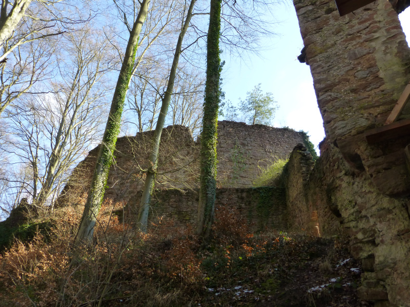 D:Bayern>Burgruine Wildenstein>Halsgraben1