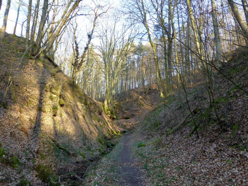 D:Bayern>Klingenberg>Seltenbachschlucht20