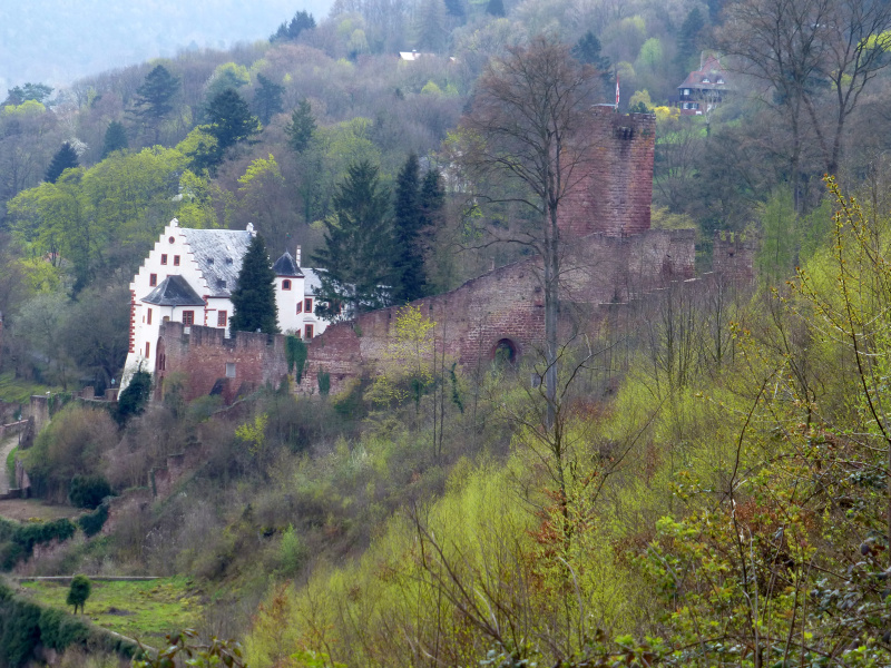 D:Bayern>Miltenberg>Bismarckweg7