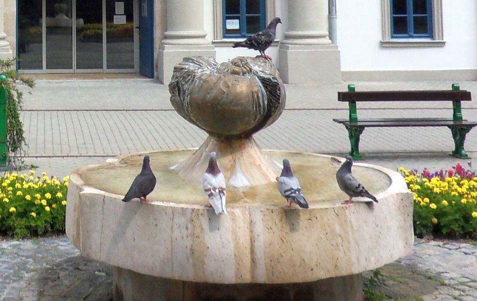 H:Eger>Schneckenbrunnen2