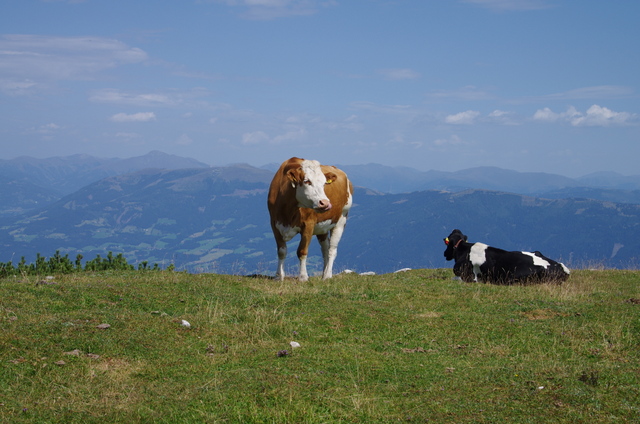 Wanderung auf der Villacher Hochalpenstrasse 6