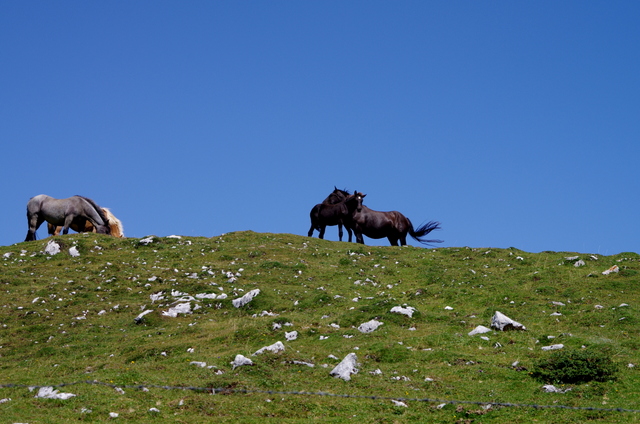 Wanderung auf der Villacher Hochalpenstrasse 3