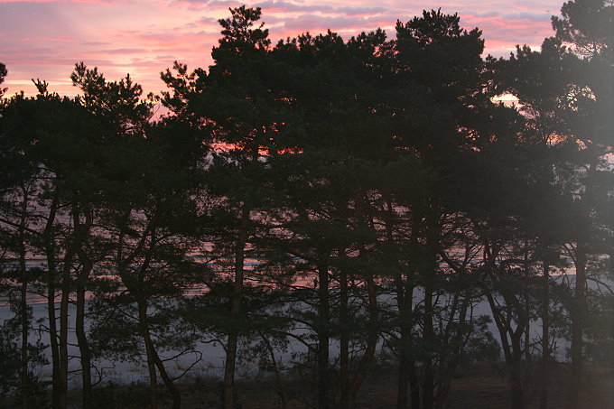 Binz Strand