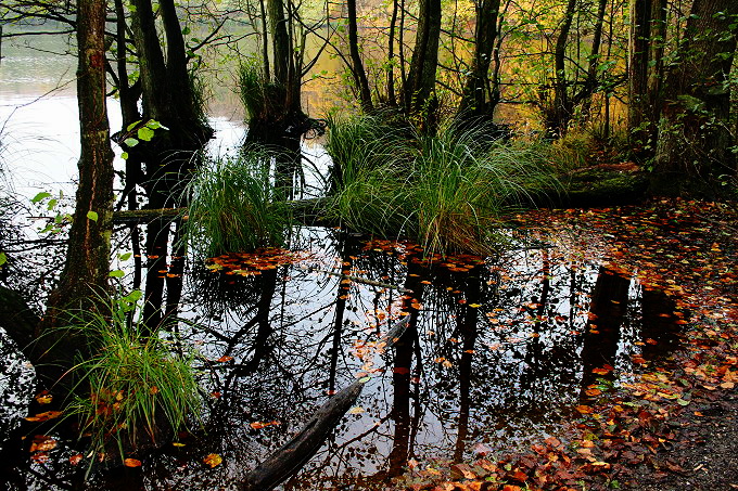 Nationalpark Jasmund 4