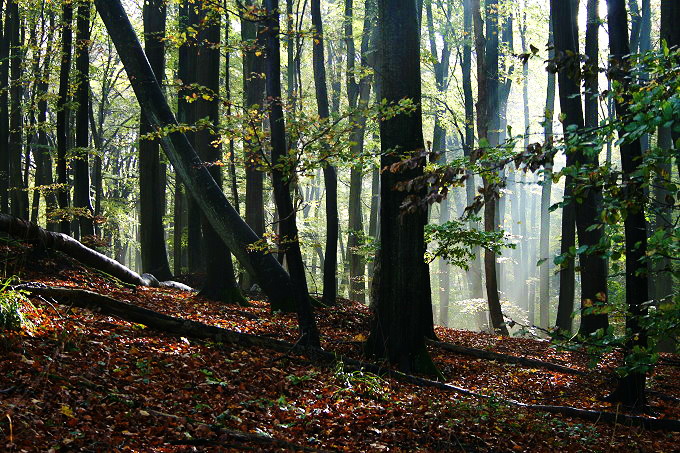 Nationalpark Jasmund 8