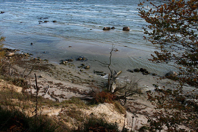 Insel Vilm 2