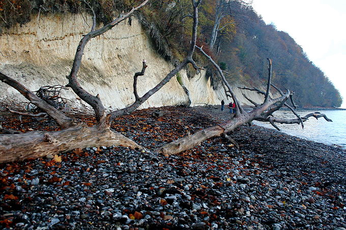 Nationalpark Jasmund Kreidefelsen 3