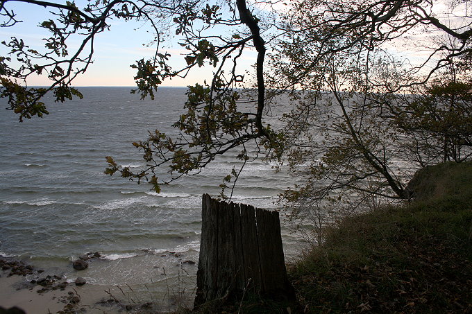 Insel Vilm 4