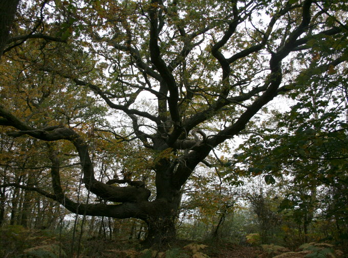 Insel Vilm