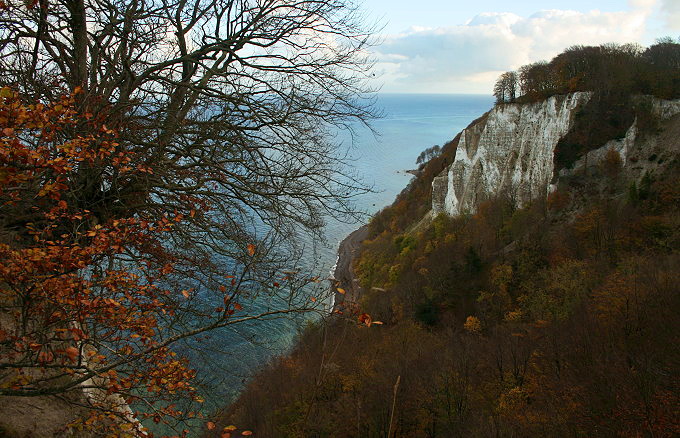 Nationalpark Jasmund Kreidefelsen 6