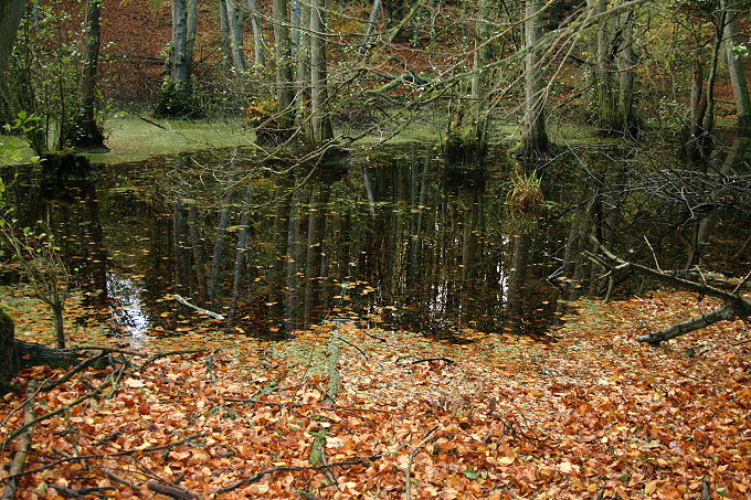 Nationalpark Jasmund 3