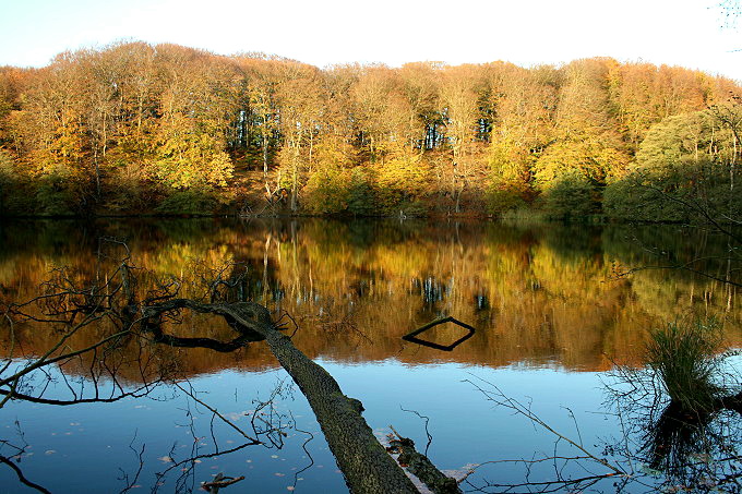 Nationalpark Jasmund 5