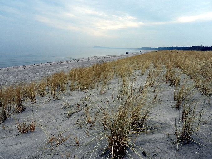 Mönchgut Großer Strand 2