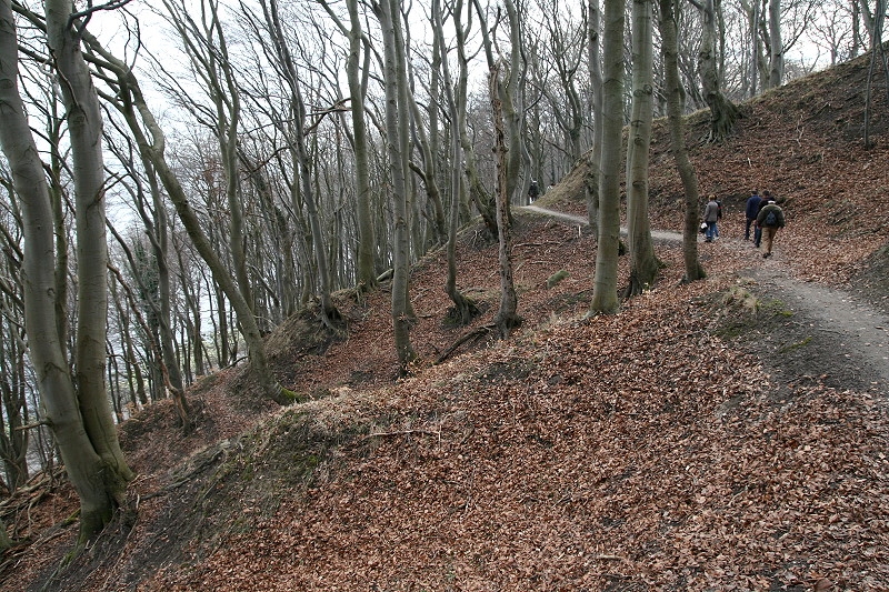 Lohme Küste  (3)