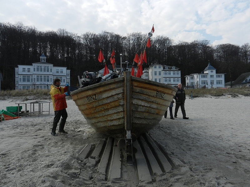 Binz Hering (11).JPG 800