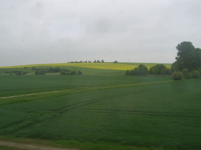 Rapsfeld in Mittelfranken