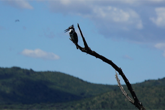 Pilanesberg-38