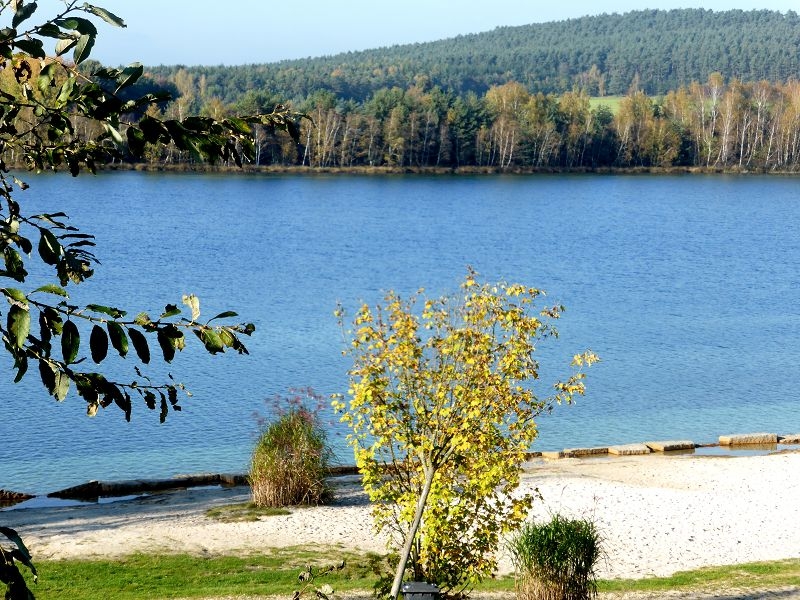 Herbstspaziergang