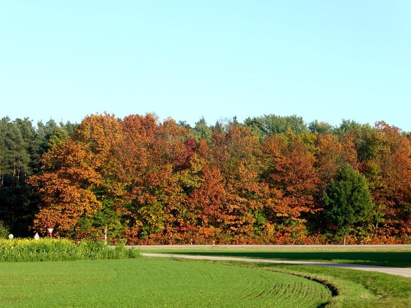 Herbstspaziergang