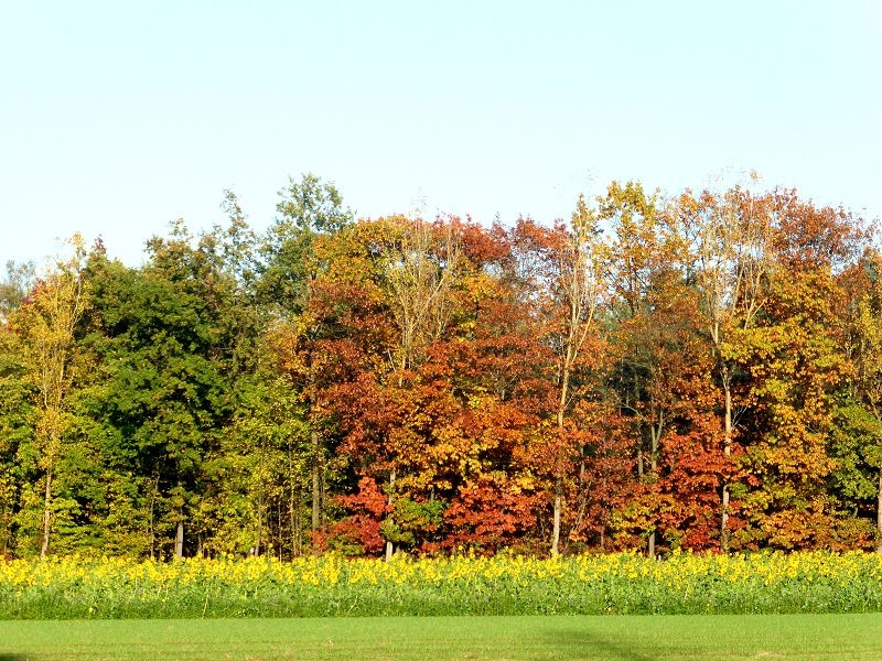 Herbstspaziergang