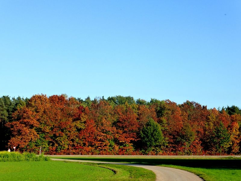 Herbstspaziergang