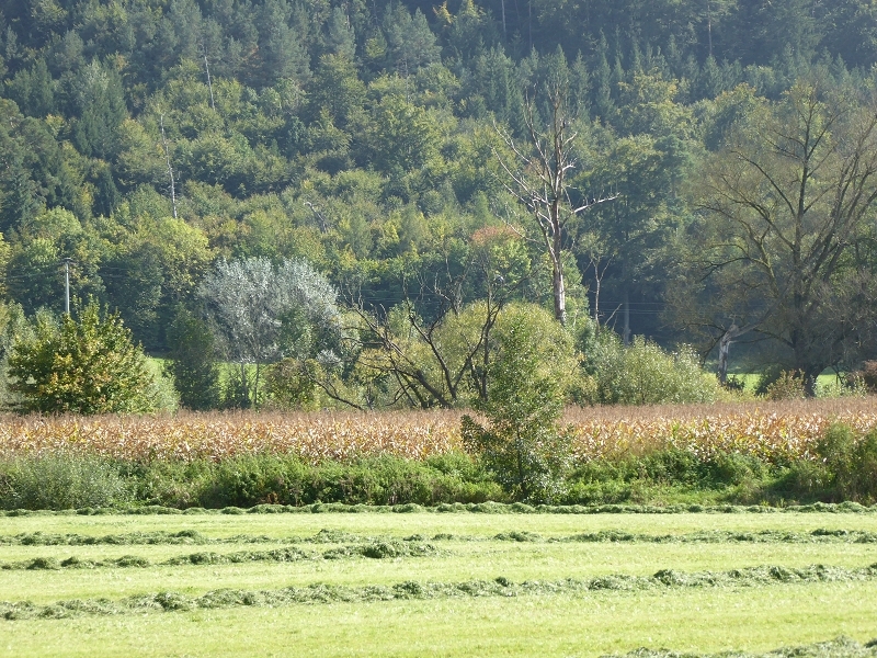 die Altmühl im Spätherbst 2014