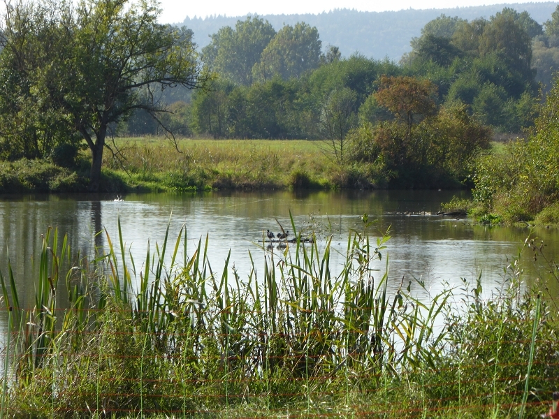 an der Altmühl, Sept. 2014