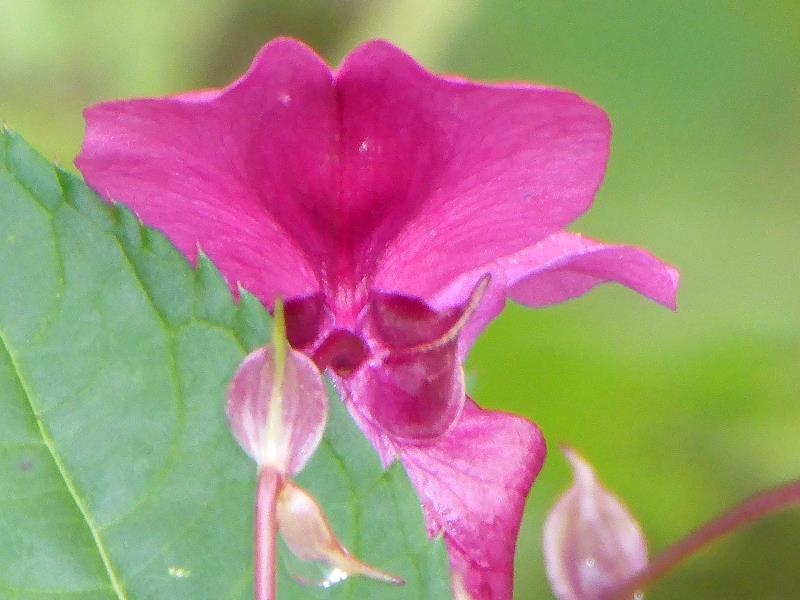 alter Kanal - neuer Kanal