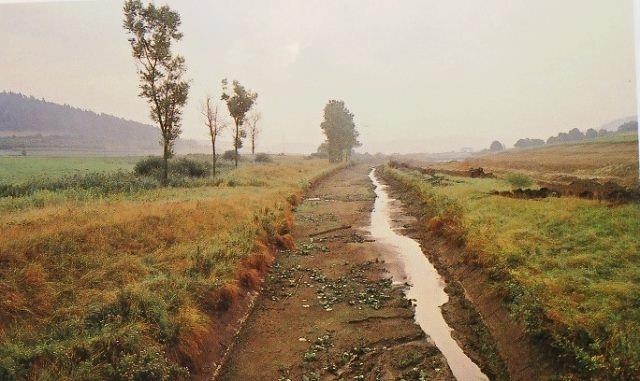 k-Sept. 89, das Moor ist trockengelegt