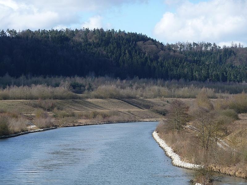 Ottmaringer Tal, hier sieht man die Abholzgrenze sehr schön