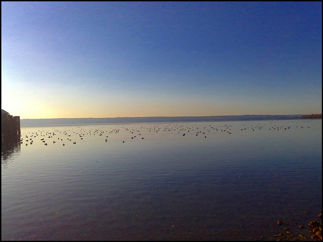 Ausflug zum Ammersee 3