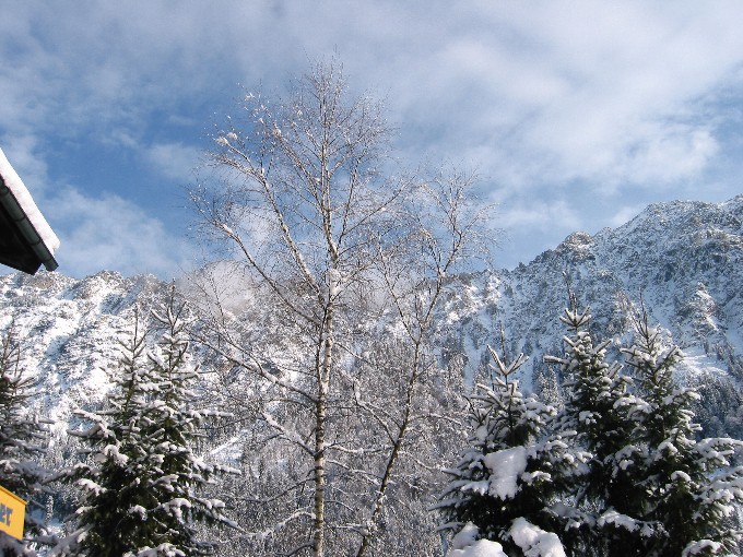 OBERSTDORF > Fellhorn