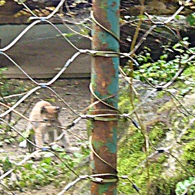 Zoo Hellabrunn Der kleine Lux