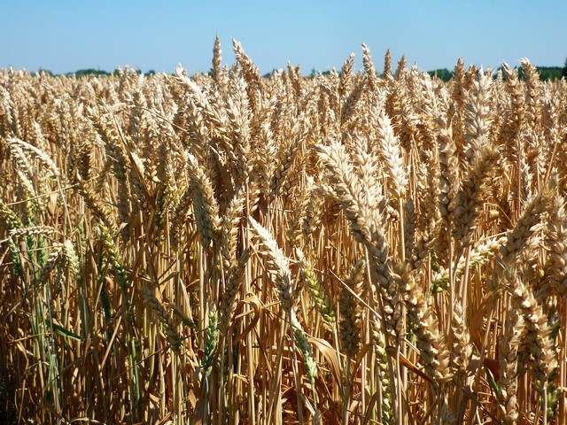 Endlich Sommer und wie 8