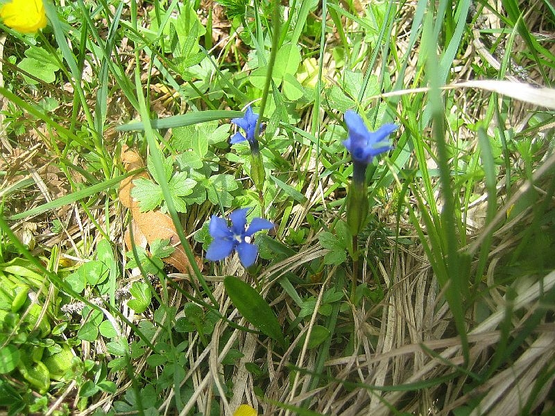 Kramerspitze 2013 019