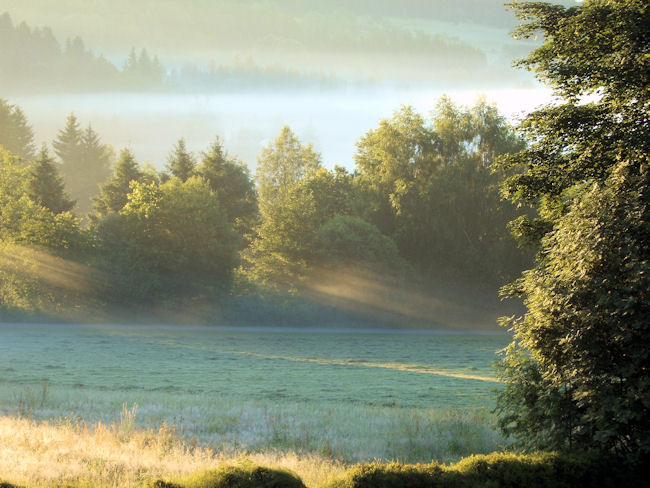 Bayerwald Impressionen 6