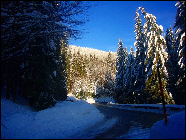 Wintermärchen im Bayerischen Wald