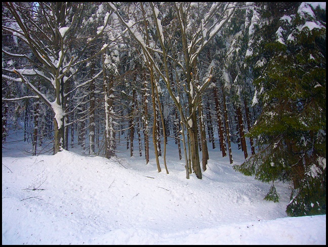 Wintermärchen im Bayerischen Wald 2