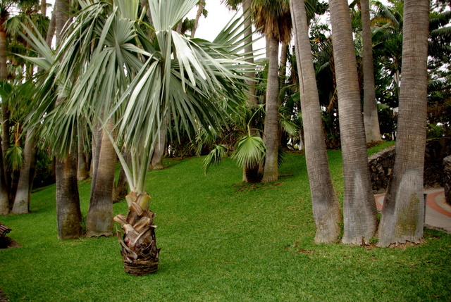 LORO PARQUE > Ein paar Eindrücke