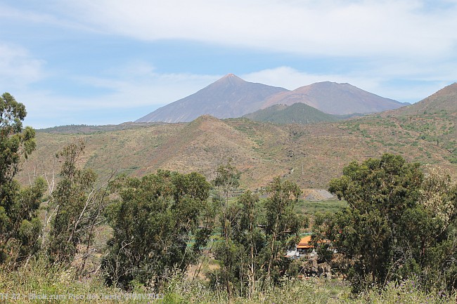 TF-82 > Blick zum Pico del Teide