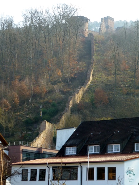 D:BW>Freudenberg>westliche Stadtmauer