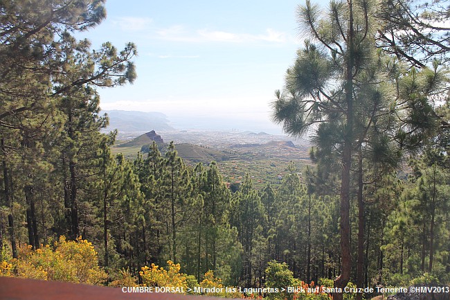 MIRADOR LAS LAGUNETAS > Ausblick auf Santa Cruz de Tenerife