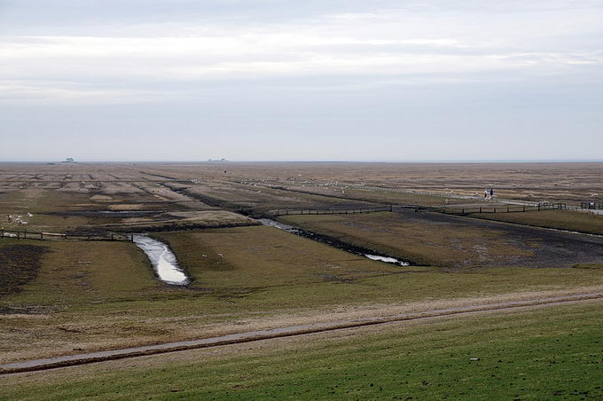 Hamburger Hallig 5