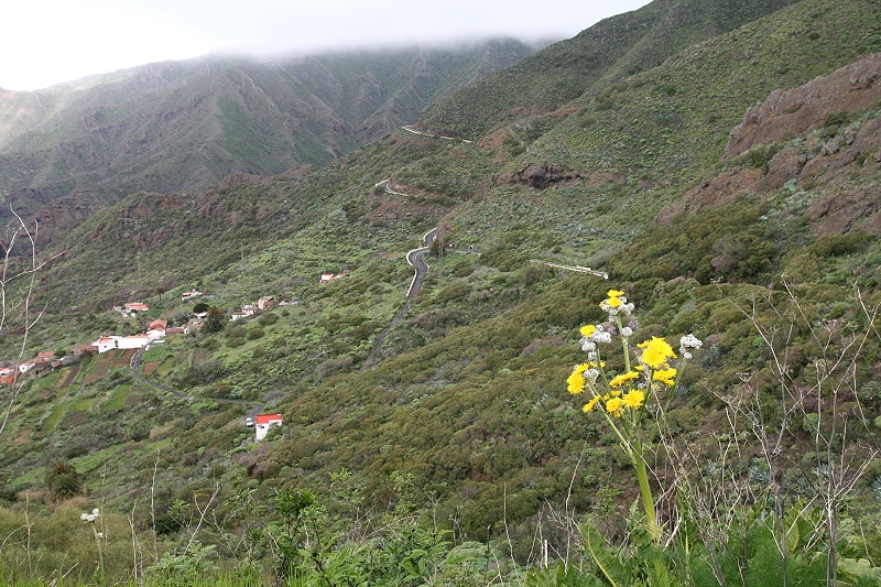 Garachico Masca 075 800