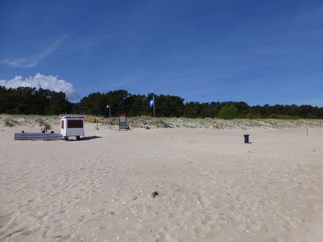 Usedom > Wald vor den Dünen bei Trassenheide und Strand 7